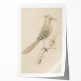Grunge Wall Art | Vintage Bird Sketch | Abstract Grunge Nature Print