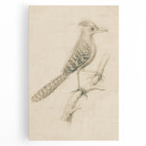 Grunge Wall Art | Vintage Bird Sketch | Abstract Grunge Nature Print