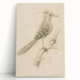 Grunge Wall Art | Vintage Bird Sketch | Abstract Grunge Nature Print
