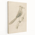 Grunge Wall Art | Vintage Bird Sketch | Abstract Grunge Nature Print
