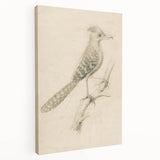 Grunge Wall Art | Vintage Bird Sketch | Abstract Grunge Nature Print
