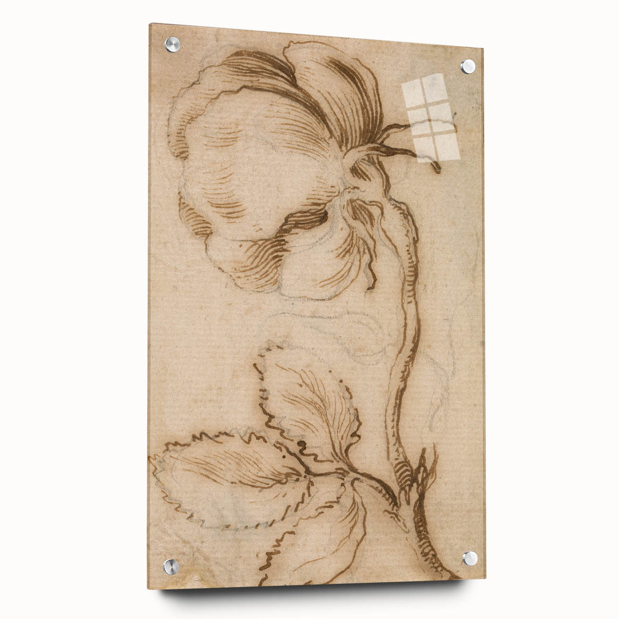 Grunge Wall Art | Vintage Floral Sketch | Abstract Grunge Botanical Print