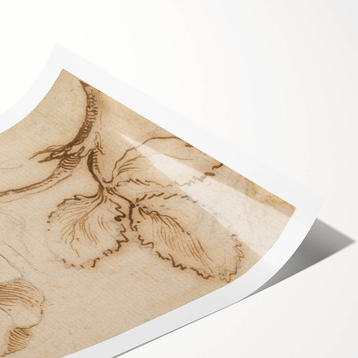 Grunge Wall Art | Vintage Floral Sketch | Abstract Grunge Botanical Print