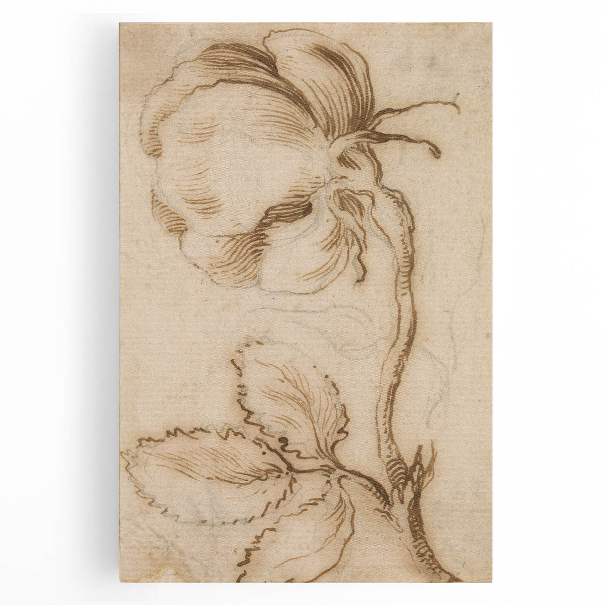 Grunge Wall Art | Vintage Floral Sketch | Abstract Grunge Botanical Print