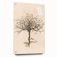 Grunge Wall Art | Vintage Tree Sketch | Abstract Grunge Botanical Print