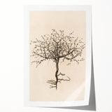 Grunge Wall Art | Vintage Tree Sketch | Abstract Grunge Botanical Print
