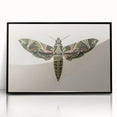 Grunge Wall Art: Moth Design | Vintage Grunge Canvas Print for Modern Homes