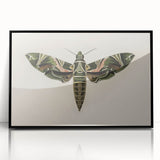 Grunge Wall Art: Moth Design | Vintage Grunge Canvas Print for Modern Homes