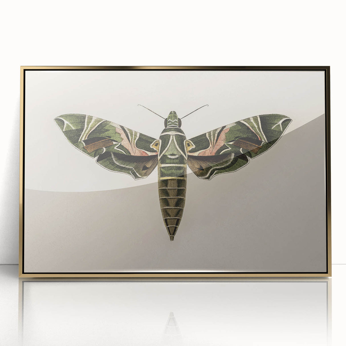 Grunge Wall Art: Moth Design | Vintage Grunge Canvas Print for Modern Homes