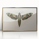 Grunge Wall Art: Moth Design | Vintage Grunge Canvas Print for Modern Homes