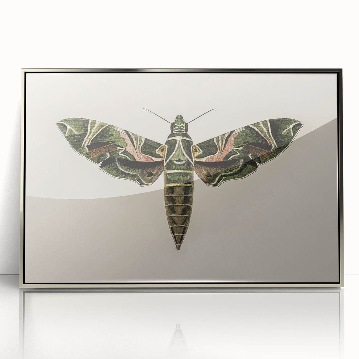 Grunge Wall Art: Moth Design | Vintage Grunge Canvas Print for Modern Homes