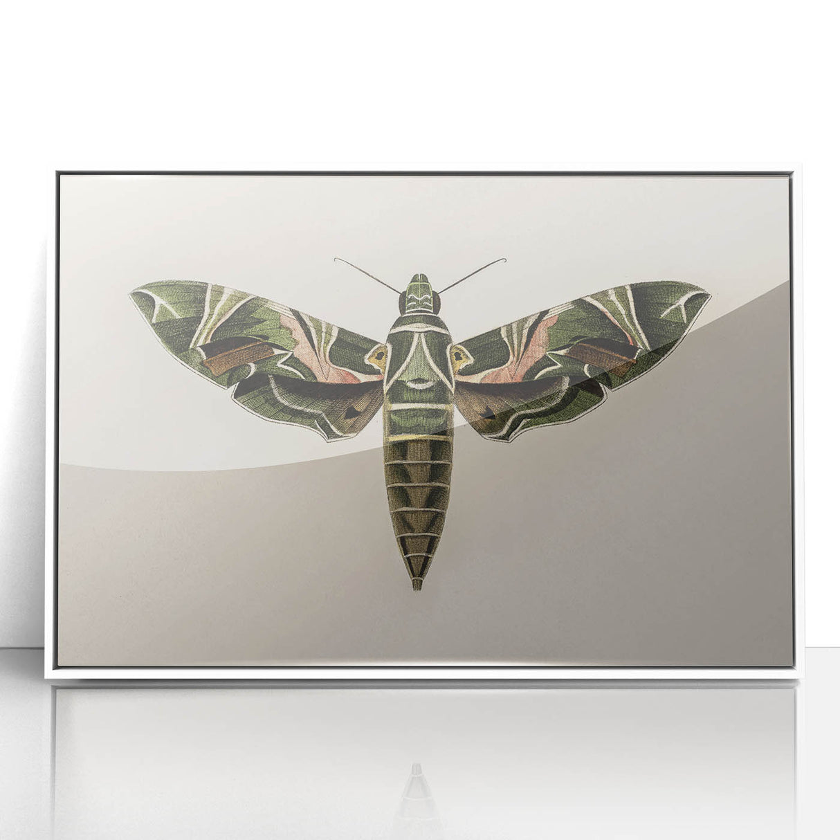 Grunge Wall Art: Moth Design | Vintage Grunge Canvas Print for Modern Homes