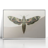 Grunge Wall Art: Moth Design | Vintage Grunge Canvas Print for Modern Homes