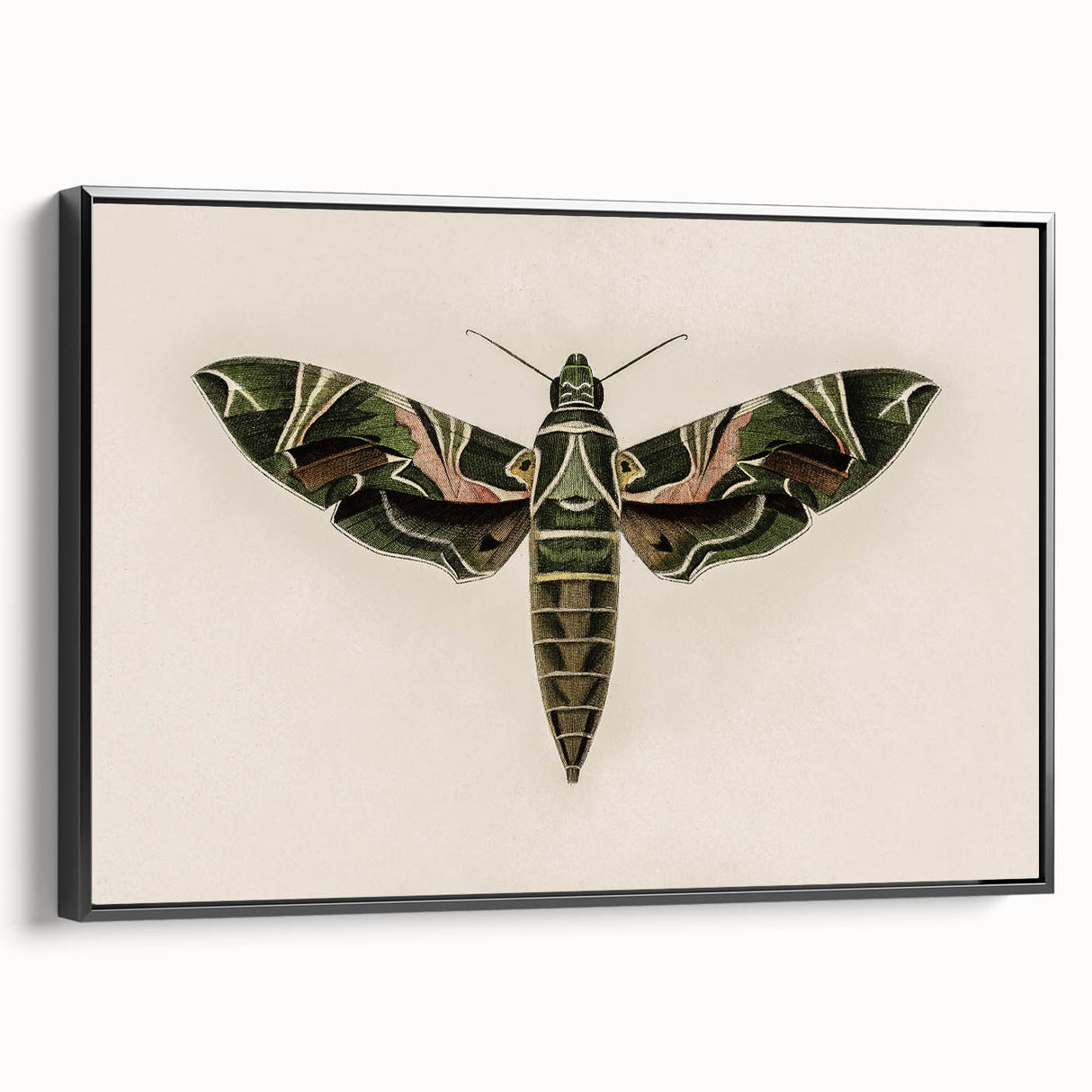 Grunge Wall Art: Moth Design | Vintage Grunge Canvas Print for Modern Homes