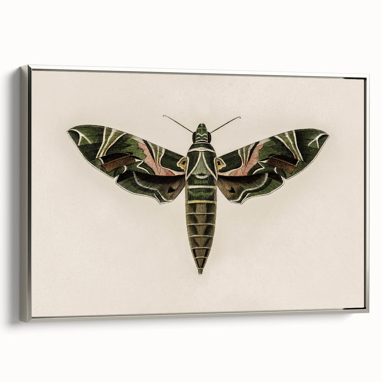 Grunge Wall Art: Moth Design | Vintage Grunge Canvas Print for Modern Homes