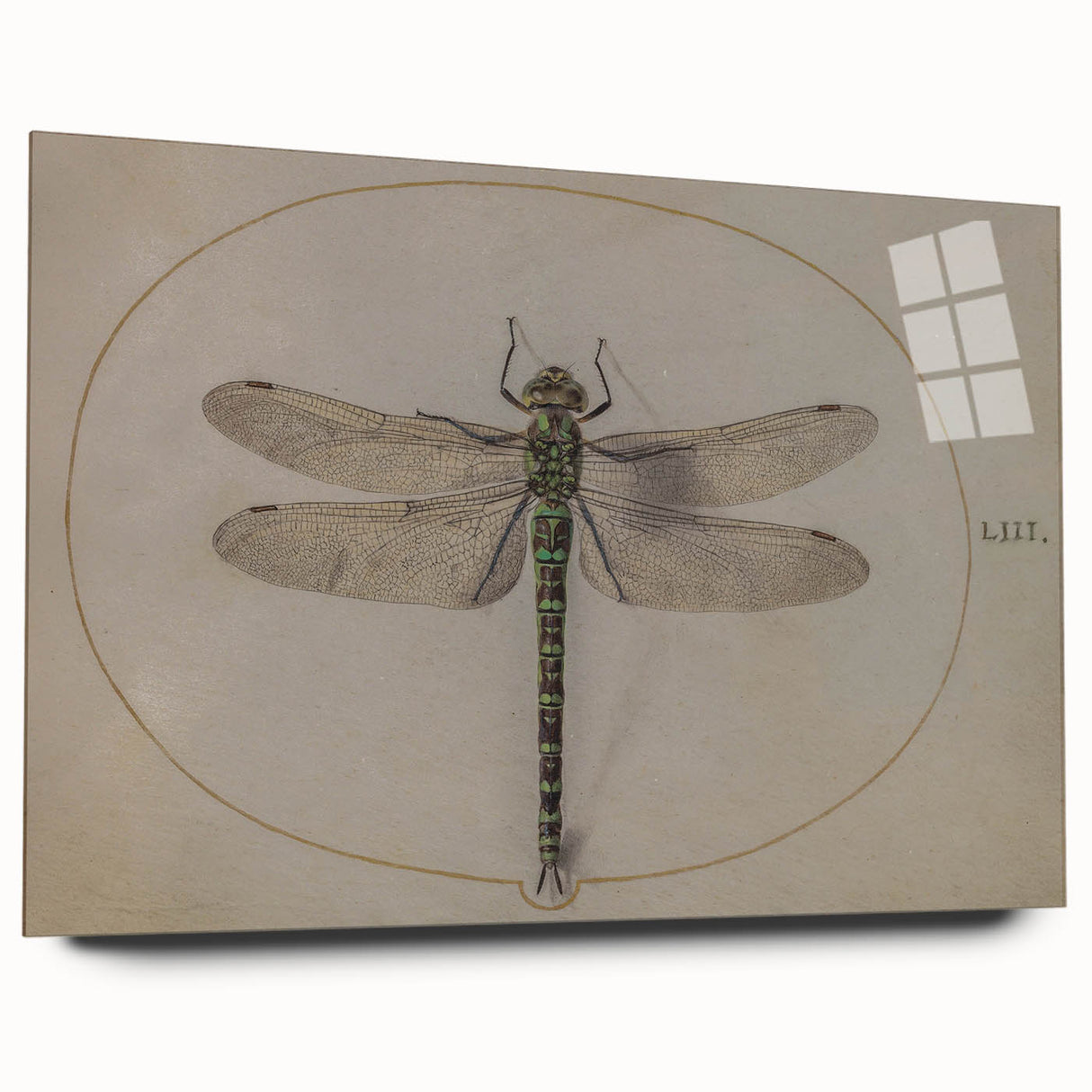 Grunge Wall Art: Dragonfly Illustration | Vintage Grunge Canvas Print
