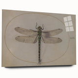 Grunge Wall Art: Dragonfly Illustration | Vintage Grunge Canvas Print