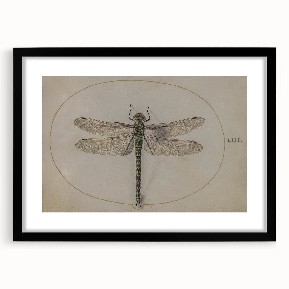 Grunge Wall Art: Dragonfly Illustration | Vintage Grunge Canvas Print