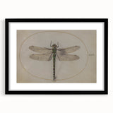 Grunge Wall Art: Dragonfly Illustration | Vintage Grunge Canvas Print