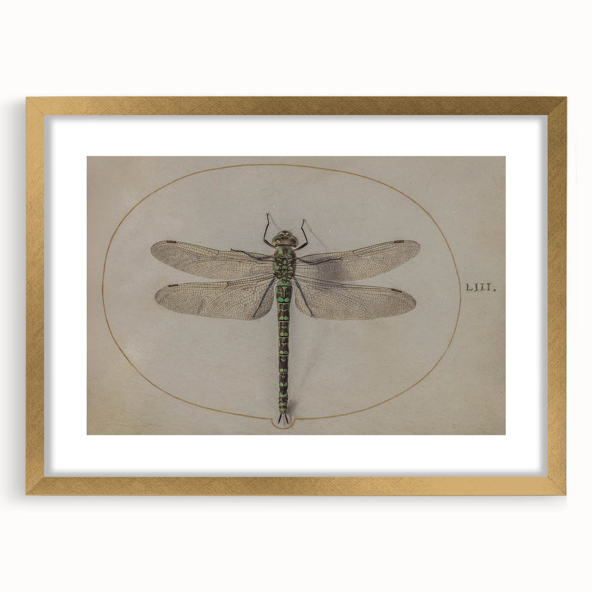 Grunge Wall Art: Dragonfly Illustration | Vintage Grunge Canvas Print