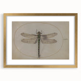 Grunge Wall Art: Dragonfly Illustration | Vintage Grunge Canvas Print