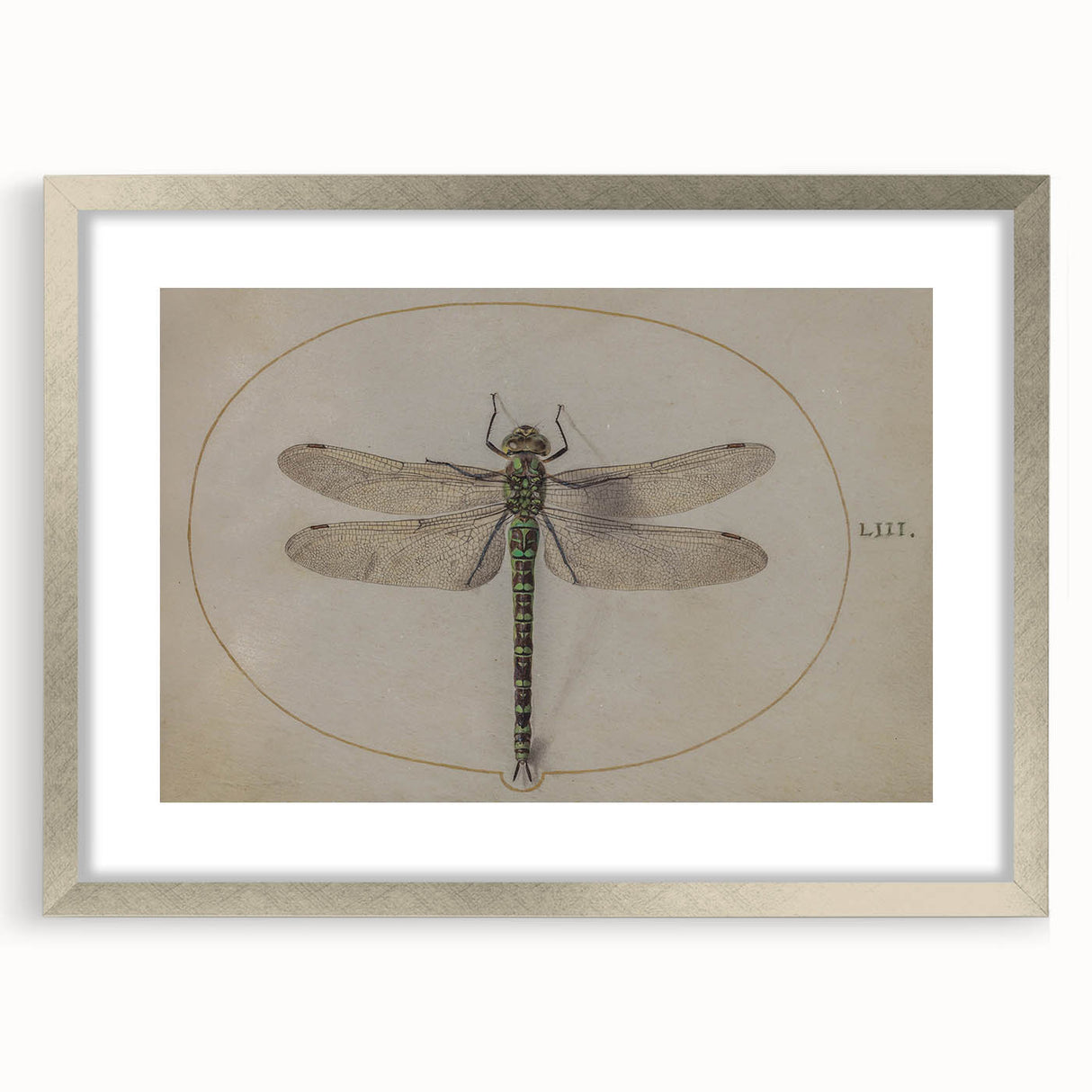 Grunge Wall Art: Dragonfly Illustration | Vintage Grunge Canvas Print