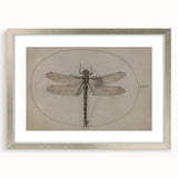 Grunge Wall Art: Dragonfly Illustration | Vintage Grunge Canvas Print