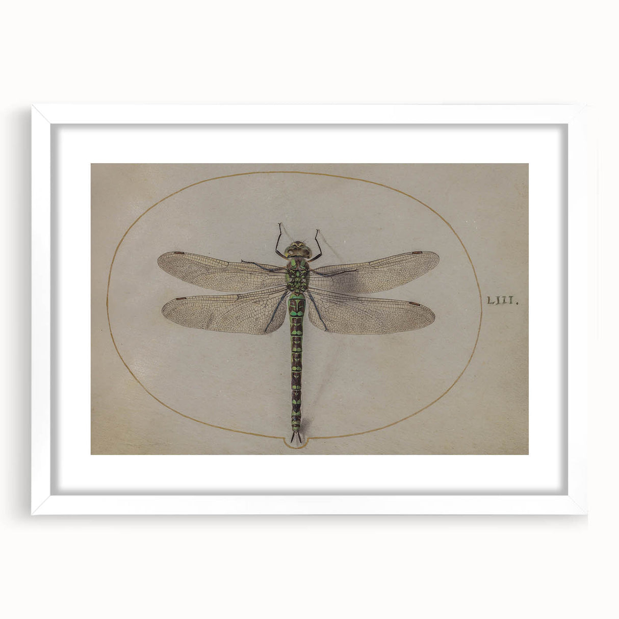 Grunge Wall Art: Dragonfly Illustration | Vintage Grunge Canvas Print