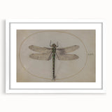 Grunge Wall Art: Dragonfly Illustration | Vintage Grunge Canvas Print