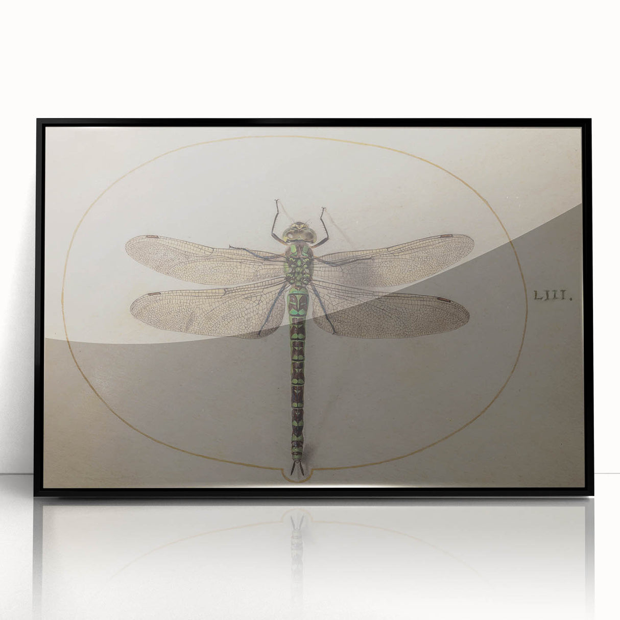 Grunge Wall Art: Dragonfly Illustration | Vintage Grunge Canvas Print