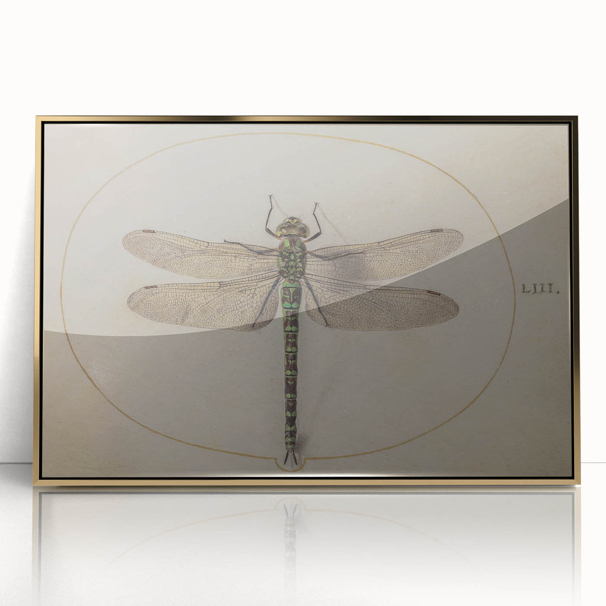Grunge Wall Art: Dragonfly Illustration | Vintage Grunge Canvas Print