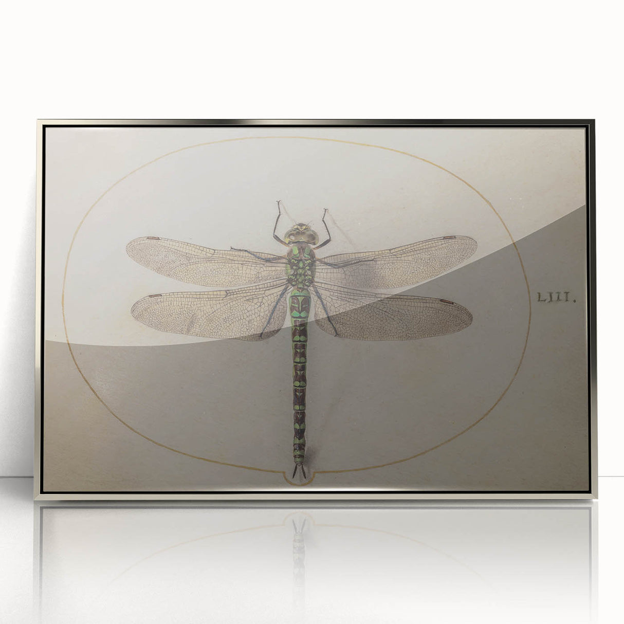 Grunge Wall Art: Dragonfly Illustration | Vintage Grunge Canvas Print