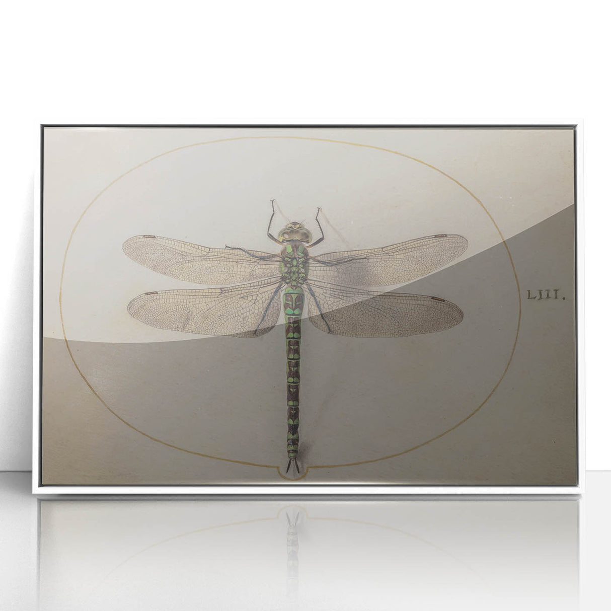 Grunge Wall Art: Dragonfly Illustration | Vintage Grunge Canvas Print