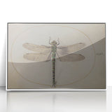 Grunge Wall Art: Dragonfly Illustration | Vintage Grunge Canvas Print