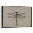 Grunge Wall Art: Dragonfly Illustration | Vintage Grunge Canvas Print