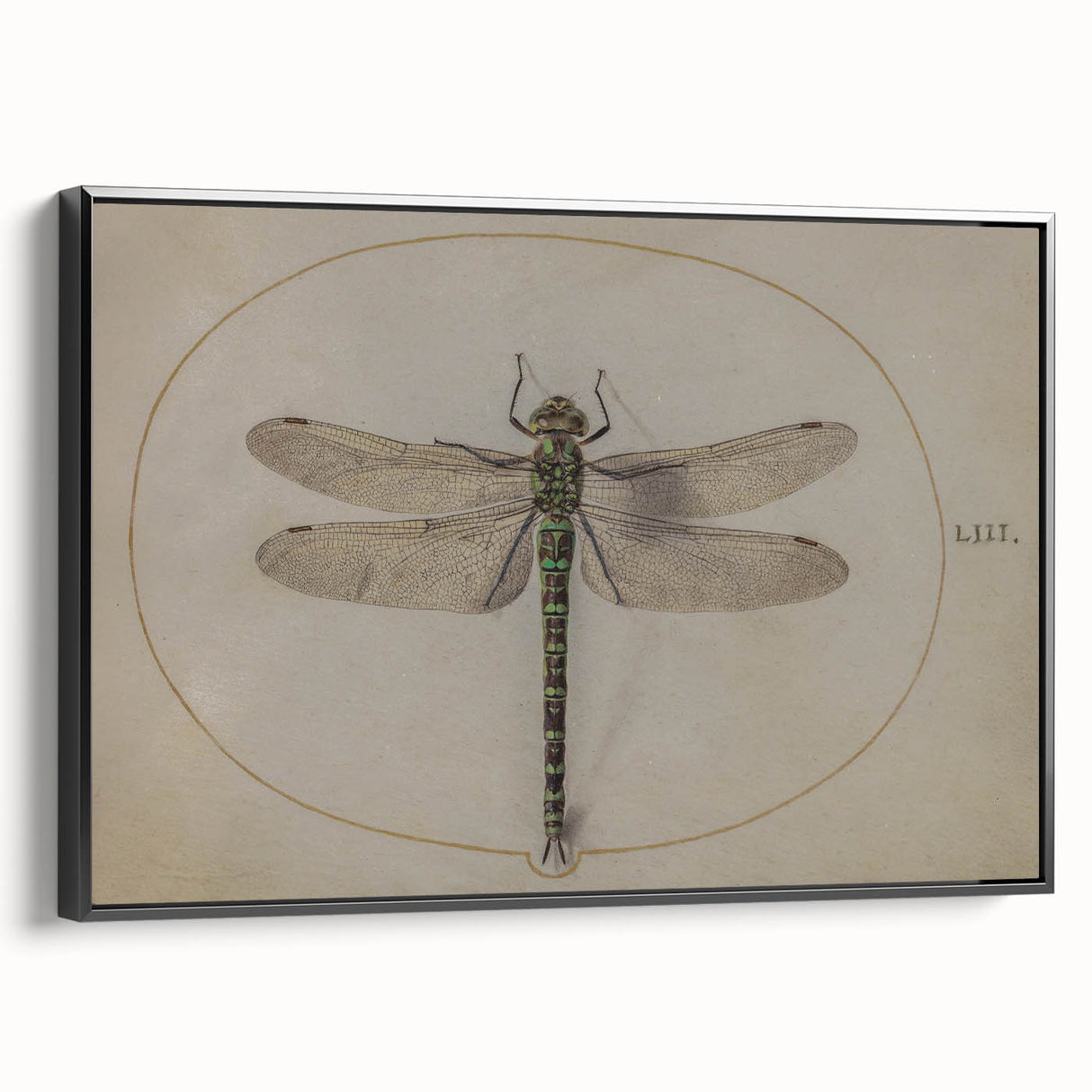 Grunge Wall Art: Dragonfly Illustration | Vintage Grunge Canvas Print