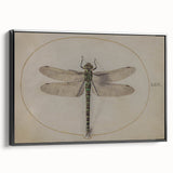 Grunge Wall Art: Dragonfly Illustration | Vintage Grunge Canvas Print