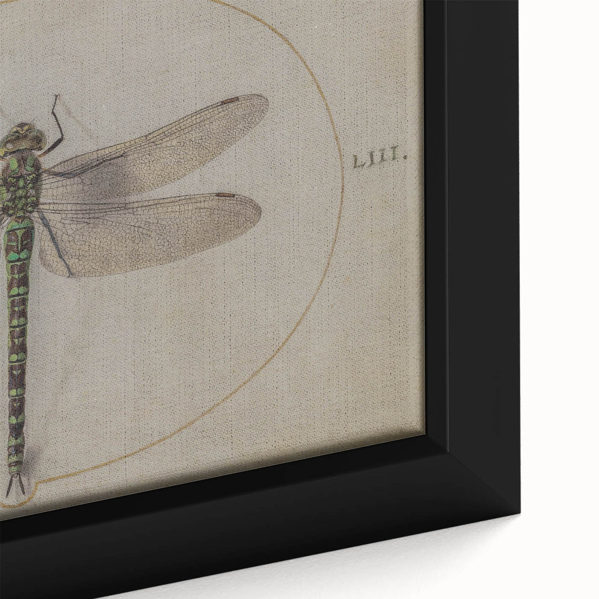 Grunge Wall Art: Dragonfly Illustration | Vintage Grunge Canvas Print