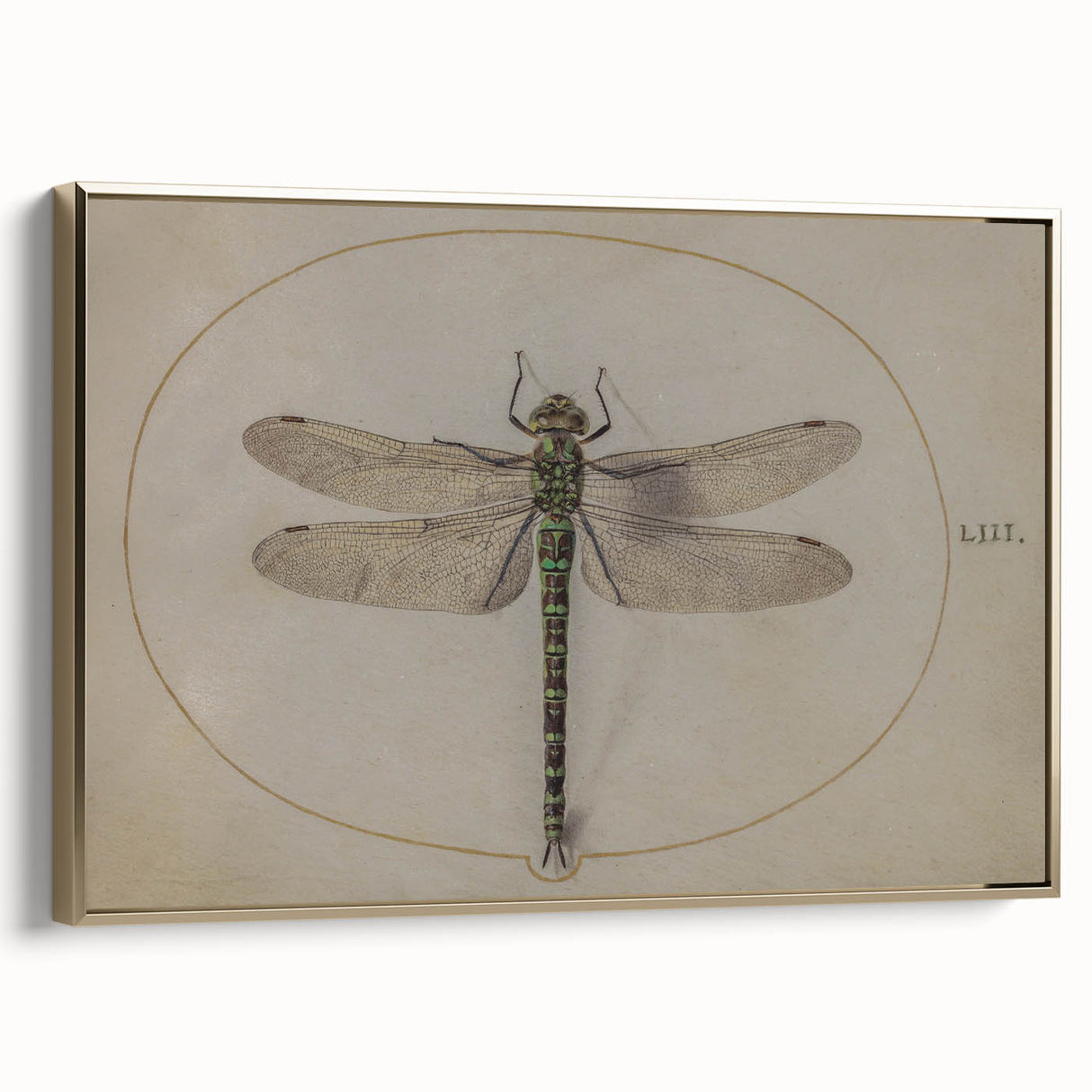 Grunge Wall Art: Dragonfly Illustration | Vintage Grunge Canvas Print