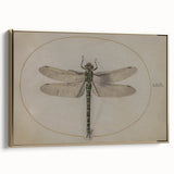 Grunge Wall Art: Dragonfly Illustration | Vintage Grunge Canvas Print