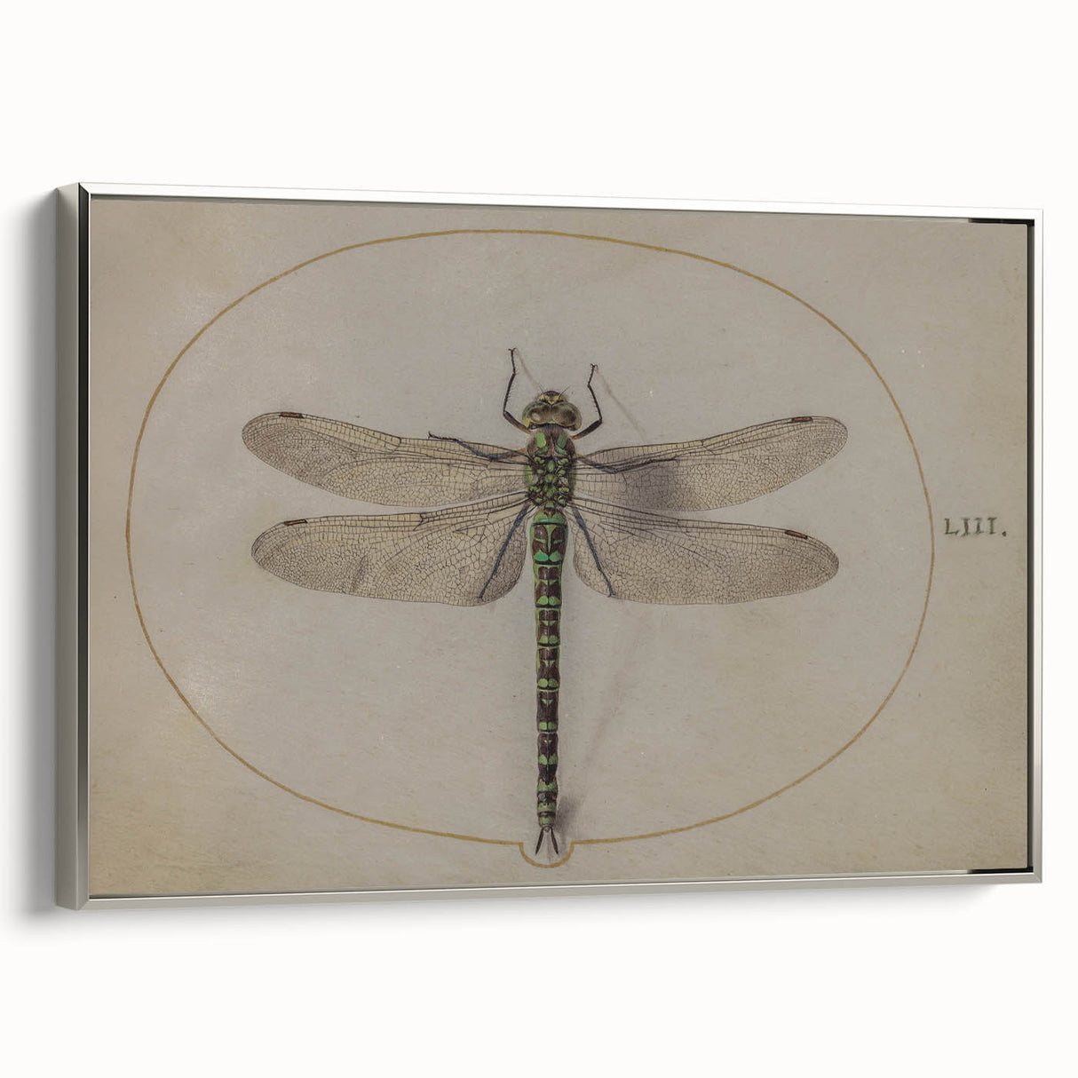 Grunge Wall Art: Dragonfly Illustration | Vintage Grunge Canvas Print