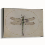 Grunge Wall Art: Dragonfly Illustration | Vintage Grunge Canvas Print
