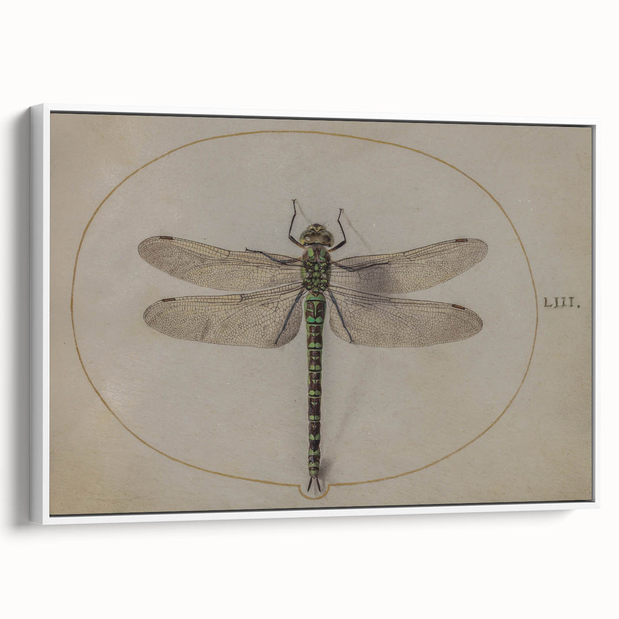 Grunge Wall Art: Dragonfly Illustration | Vintage Grunge Canvas Print