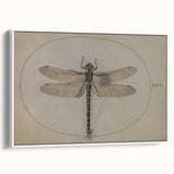 Grunge Wall Art: Dragonfly Illustration | Vintage Grunge Canvas Print