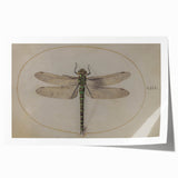 Grunge Wall Art: Dragonfly Illustration | Vintage Grunge Canvas Print
