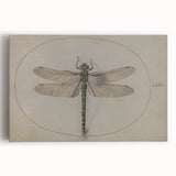 Grunge Wall Art: Dragonfly Illustration | Vintage Grunge Canvas Print