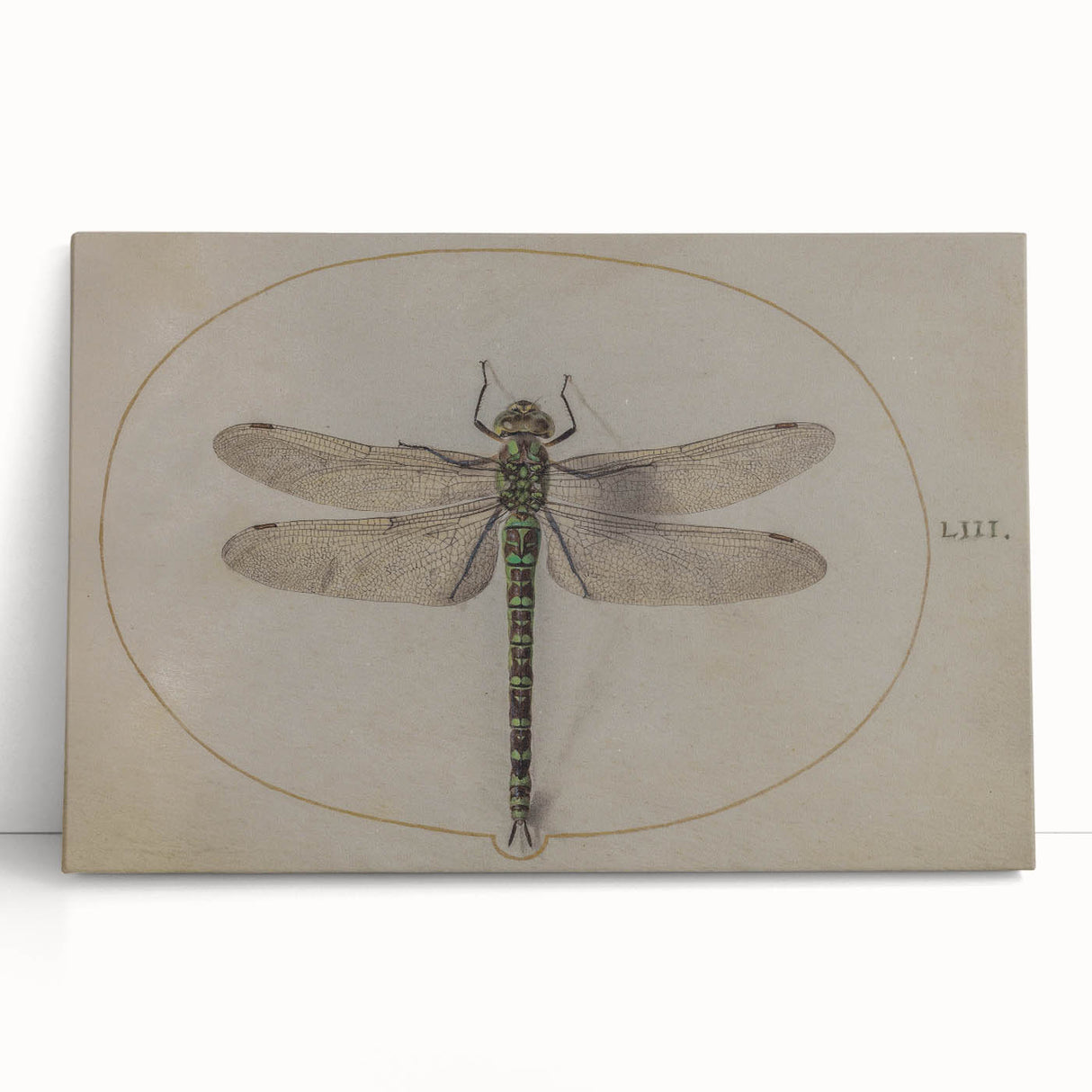 Grunge Wall Art: Dragonfly Illustration | Vintage Grunge Canvas Print