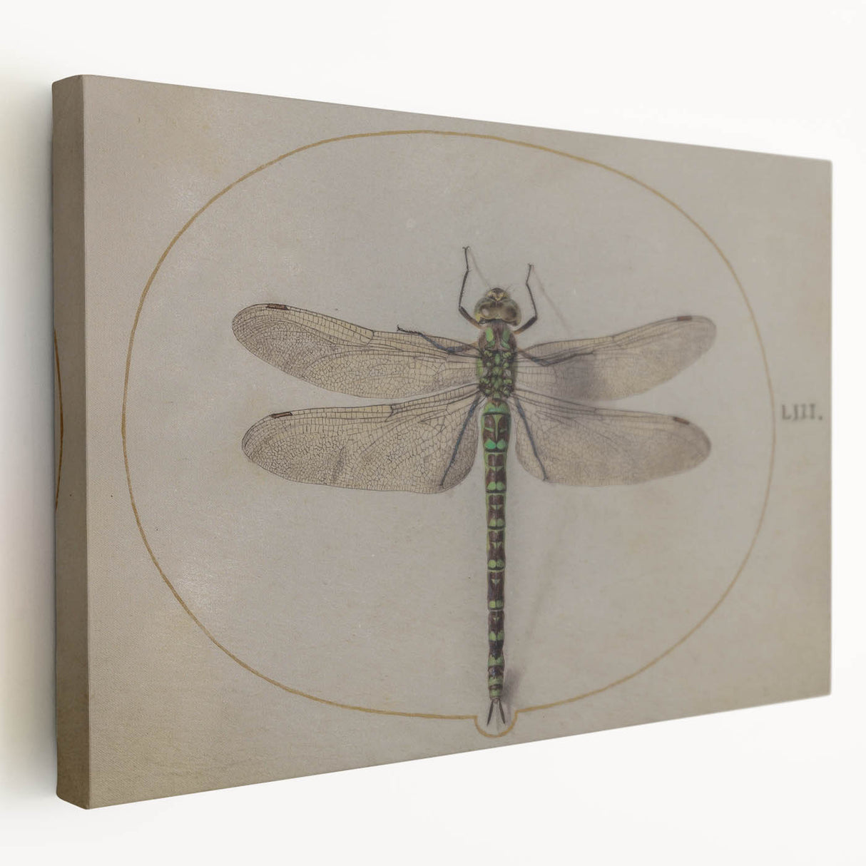 Grunge Wall Art: Dragonfly Illustration | Vintage Grunge Canvas Print