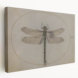 Grunge Wall Art: Dragonfly Illustration | Vintage Grunge Canvas Print