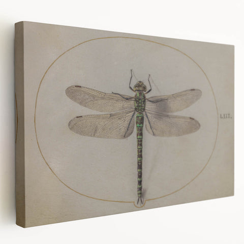 Grunge Wall Art: Dragonfly Illustration | Vintage Grunge Canvas Print